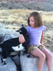 254771_10150254795943404_1638382_n