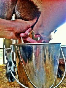 333372_410209389015269_806780831_o