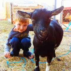 425931_10151085540863404_11123635_n