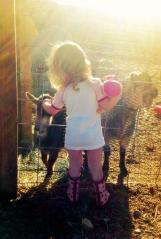 532411_459162007453340_1042429294_n